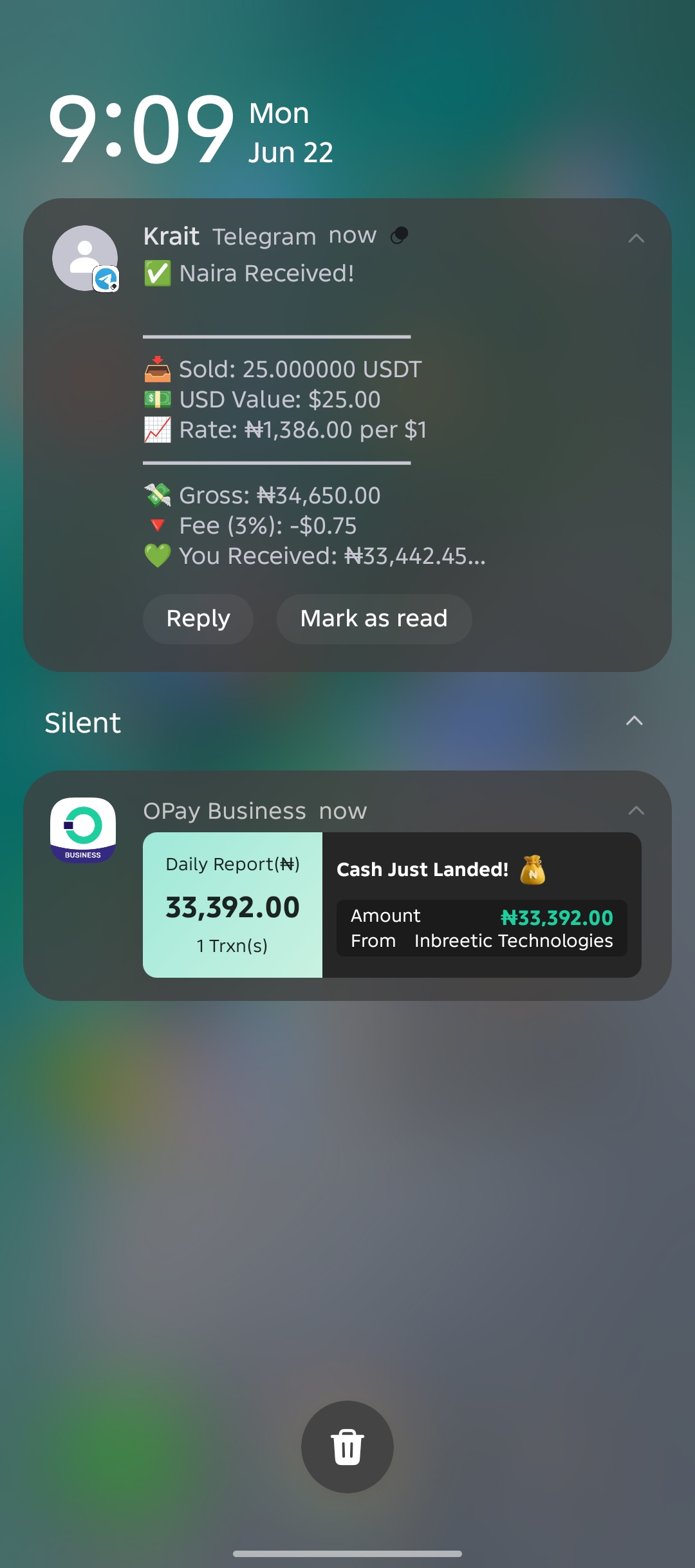 OPay Payout Confirmation
